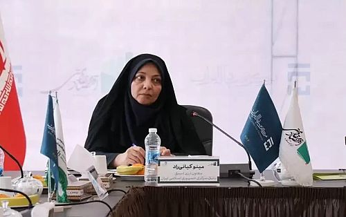  شروط اصلی برای اجرای نظام ثابت ارزی